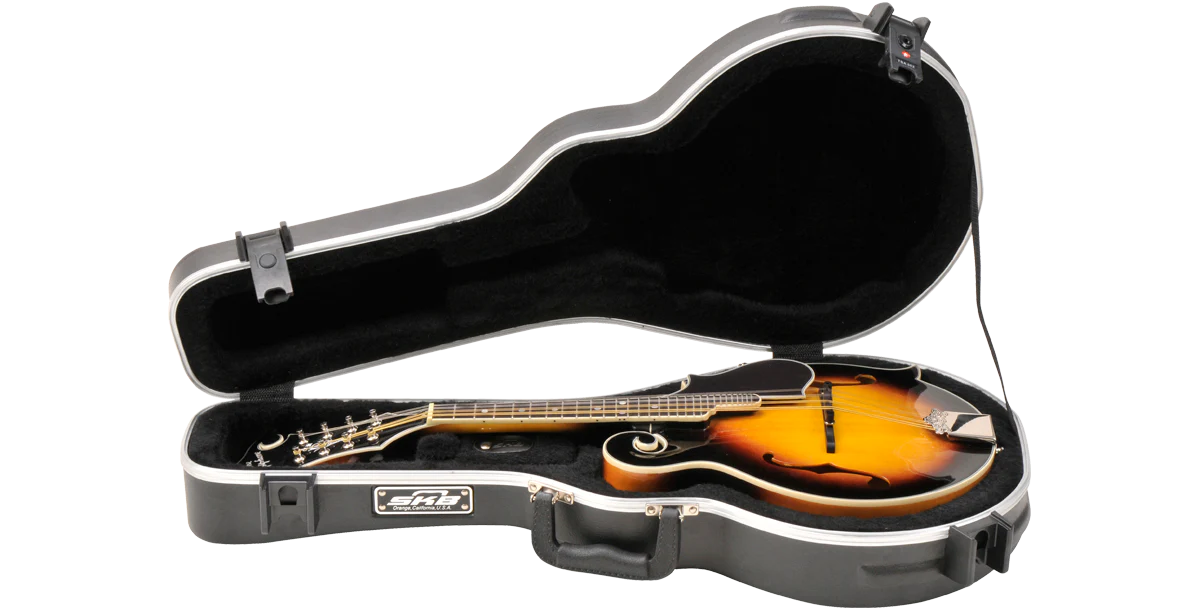 F-Style Mandolin Case - Image 2